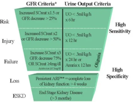 Figura 3 -. Critérios RIFLE para classificar a LRA – Adaptado de (Bellomo &amp; al, 2004)