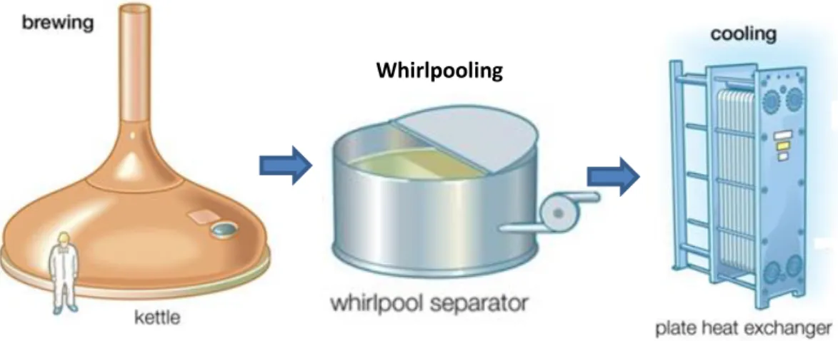Figure 3.3 - Wort Boiling, Separation and Cooling (Adapted from Encyclopedia Britannica) 