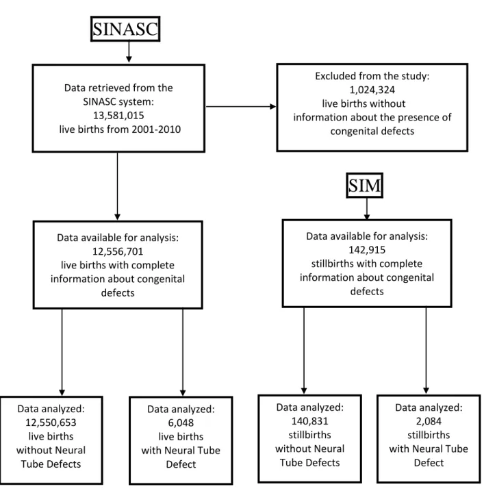Figure 1. Flow diagram and selection criteria for inclusion of live birth records from SINASC  system and stillbirth records from SIM system
