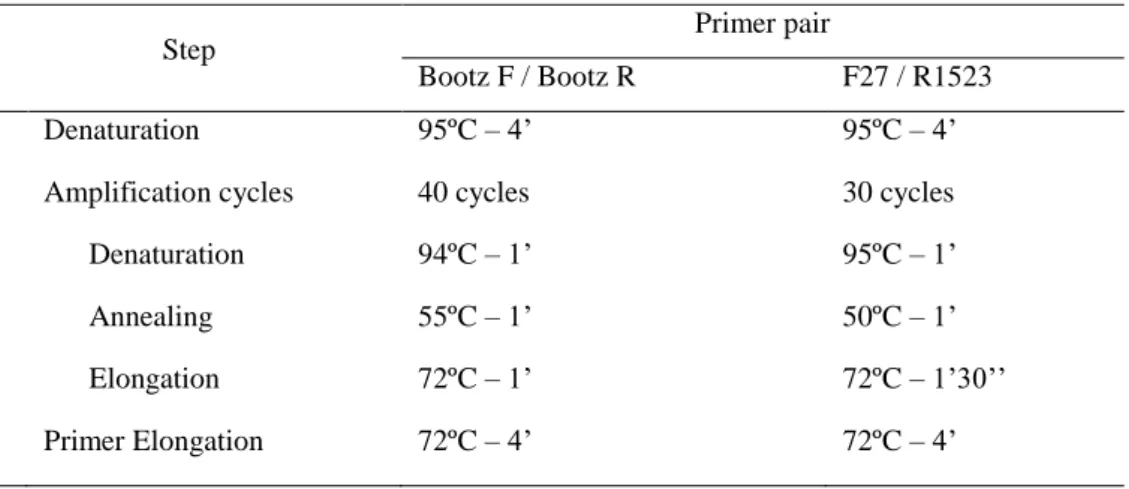 Table 3: Reaction conditions used for PCR amplifications. 