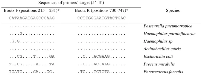 Table 4: Bootz primers mismatches with target sequences of different species. Dots indicate  base identity with the primers sequence