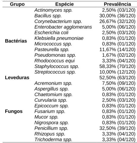 Tabela 7: Relação das leveduras, gêneros e espécies das colônias bacterianas e fúngicas  isoladas  das  amostras  de  swab  traqueais,  e  suas  respectivas  prevalências  dentro  da  população amostrada