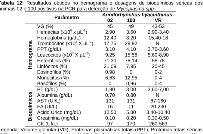 Tabela  13:  Resultados  obtidos  no  hemograma  e  dosagens  de  bioquímicas  séricas  dos  animais 31, 51 e 64 positivos na PCR para detecção de Mycoplasma spp