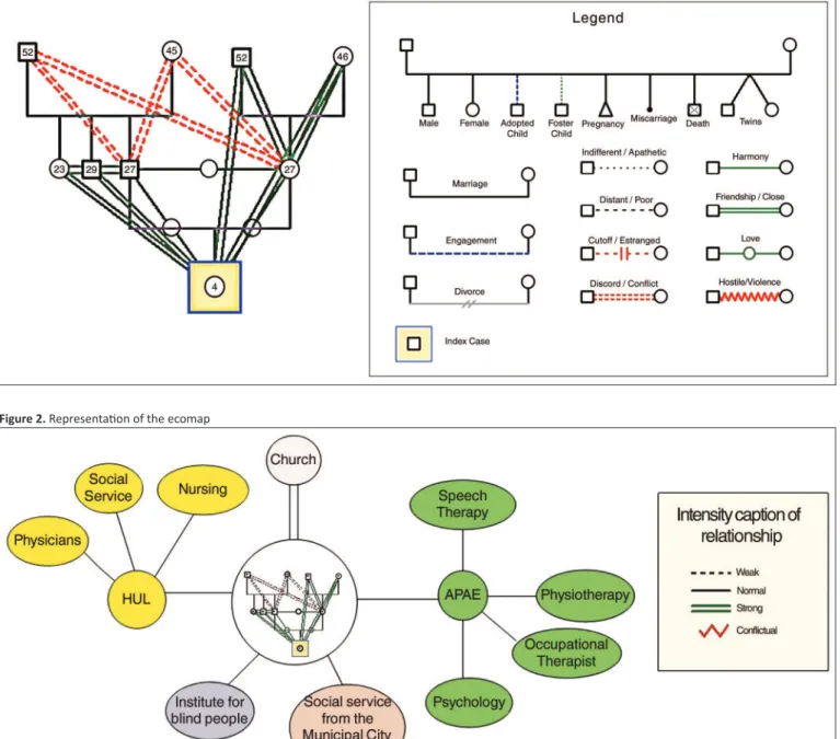 Figure 1. Representaion of the genogram