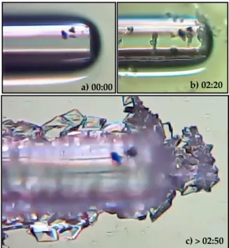Figure 6. Crystallization process of paracetamol (video online) a) Liquid paracetamol solution in  contact with the MMF-tip sensor, b) beginning of the paracetamol crystallization with continuous  exposure to air and c) full evaporation of the liquid solut