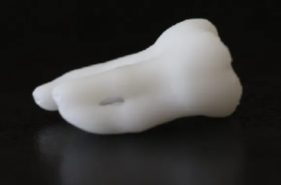 Figura 2 - Réplica  do dente da marca  Dentsply (Dentsply Maillefer, Suiça). 