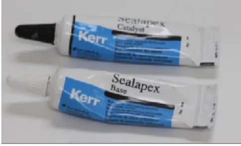 Figura 12  - Cimento  endodontico Sealapex (Kerr S.r.l.,  Itália). 