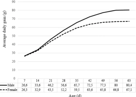 Figure  1.  Average  daily  weight  gain  (g)  of  male  and  female  broilers  from  seven to 63 days-old