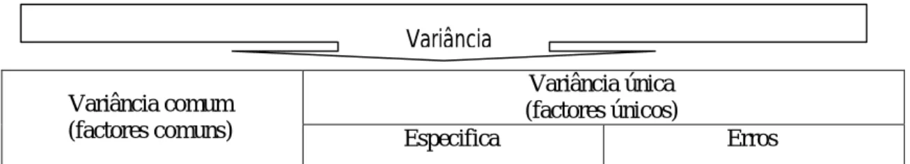 Fig 1 – Composição da variância das variáveis observáveis 