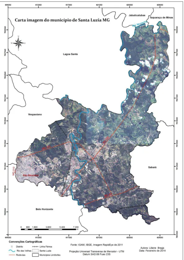Figura 4: Imagem satélite RapidEye, apresentando a cobertura vegetal de Santa Luzia. 