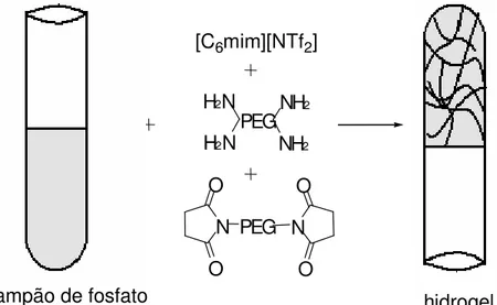 Figura 9. Obtenção do hidrogel de PEG. 