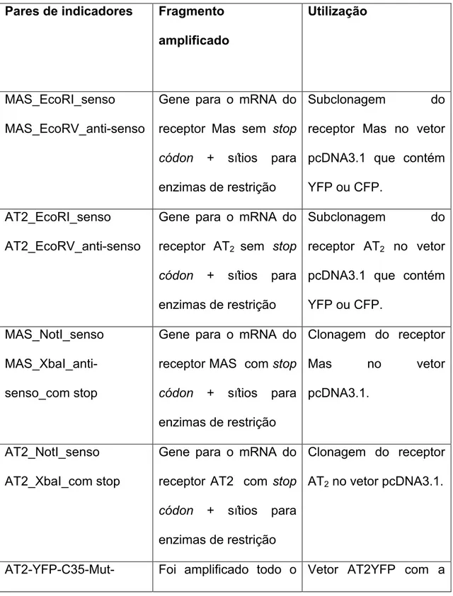 Tabela 2. Fragmentos amplificados pelos diferentes pares de iniciadores utilizados 