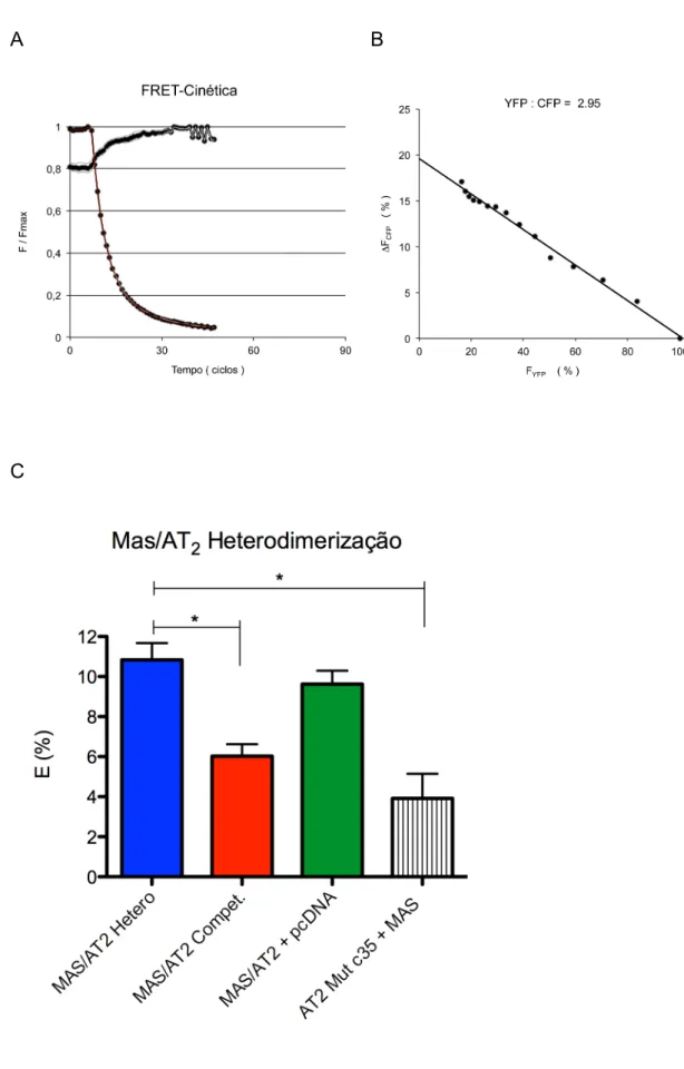 Figura 9. Eficiência da FRET E (%) medida pela recuperação da CFP após queima  da  YFP  em  células  HEK293  transfectadas  de  forma  transiente
