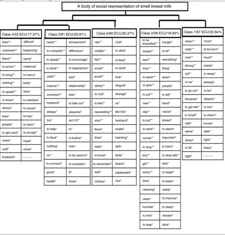 Figure 1.  Dendrogram of Descending Hierarchical Classiicaion of the corpus of smell of breast milk