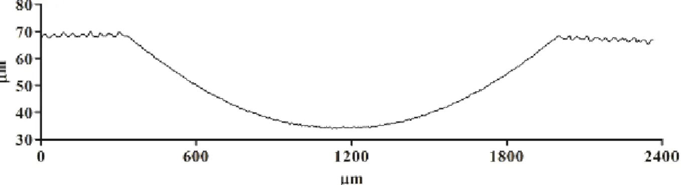 Figura 26 - Perfil da calota de uma amostra submetida ao desgaste microabrasivo. 