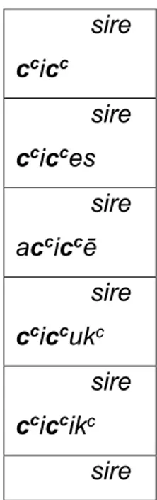 Tabela 3: O verbo sirel no aoristo indicativo 