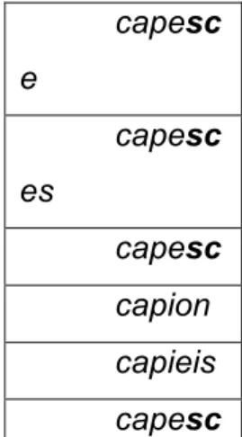 Tabela  11:  Conjugação  do  verbo  capì  no  presente  do  indicativo  com  o  sujeito  como primeiro elemento da sentença 