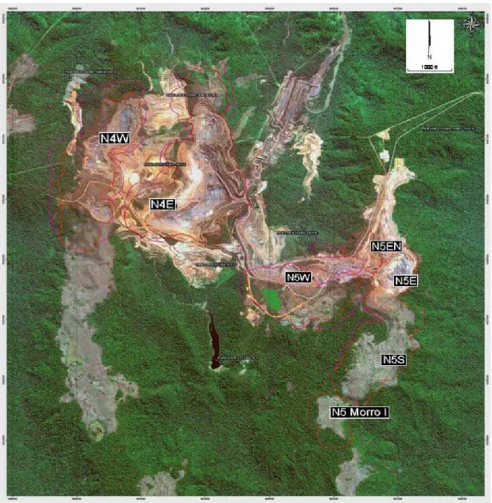 Figura 2 - Imagem de satélite mostrando os depósitos de ferro N4 e N5 da Serra Norte (fonte Vale)
