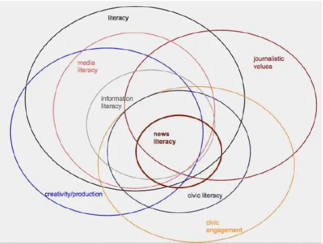 Figure 1. Intersecting fields diagram from “News Literacy: Opportunities, Challenges and Next Steps” report  (Wallace, 2014)