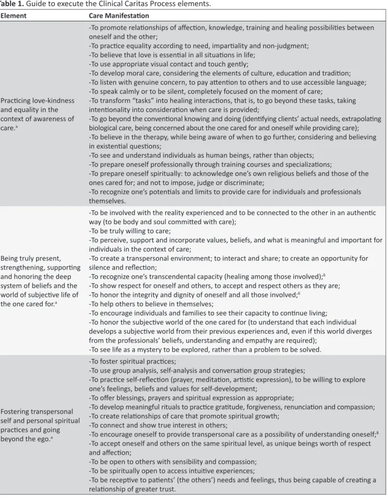 Table 1. Guide to execute the Clinical Caritas Process elements.