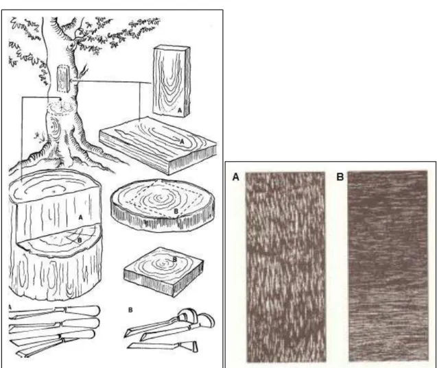 Figura 1  – Modos diferentes do corte da madeira para a xilogravura. 