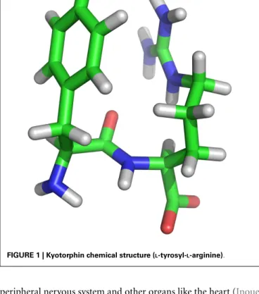 FIGURE 1 | Kyotorphin chemical structure ( L -tyrosyl- L -arginine).