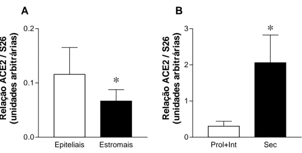 FIGURA 8 - Expressão do mRNA para ECA2 em células endometriais   cultivadas e em amostras de tecido endometrial datadas como   endométrio proliferativo ou periovulatório (Prol+Int) vs