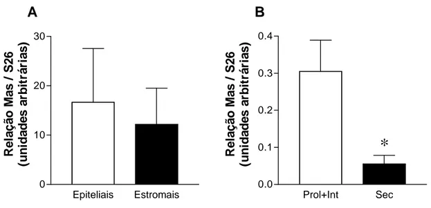 FIGURA 11 - Expressão do mRNA para o receptor Mas em células endometriais  cultivadas e em amostras de tecido endometrial datadas como endométrio 