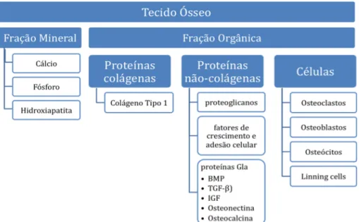 Figura 01 - Diagrama ilustrativo das substâncias envolvidas na composição da matriz óssea