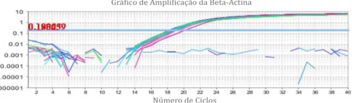 Gráfico  01  -  Amplificação  da  Beta-Actina.  Cycle  Threshold  (Ct)  representado  na  barra 