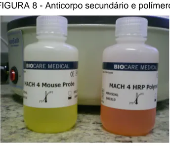 FIGURA 8 - Anticorpo secundário e polímero 