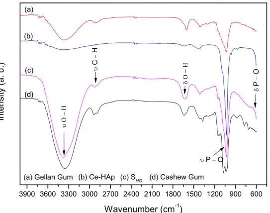 Figure 6. FTIR spectra of scaffold and precursor materials: (a) Gellan gum, (b) Ce-Hap, (c) S HG , and (d)  cashew gum