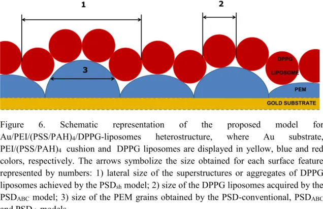 Figure  6.  Schematic  representation  of  the  proposed  model  for  Au/PEI/(PSS/PAH) 4 /DPPG-liposomes  heterostructure,  where  Au  substrate,  PEI/(PSS/PAH) 4    cushion and  DPPG liposomes are displayed in  yellow, blue and red  colors,  respectively