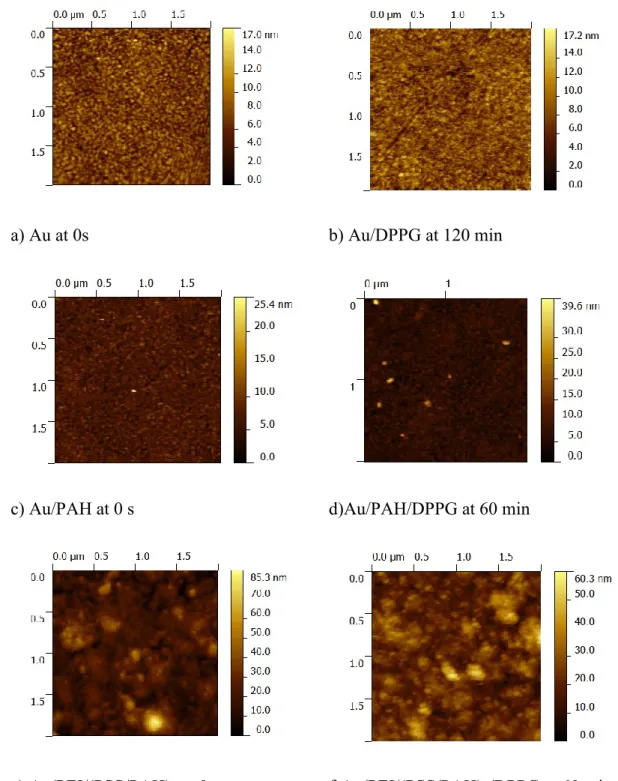 Figure  2.  AFM  in  situ  images  of  heights  with  2x2 µm 2   ,  of  DPPG  suspension  with  1  mM  of  concentration  deposited  on:  a)  Au  surface  at  0  s;  b)  Au/DPPG  surface  at  120  min;  c)  Au/PAH  surface  at  0  s;  d)  Au/PAH/DPPG  surf