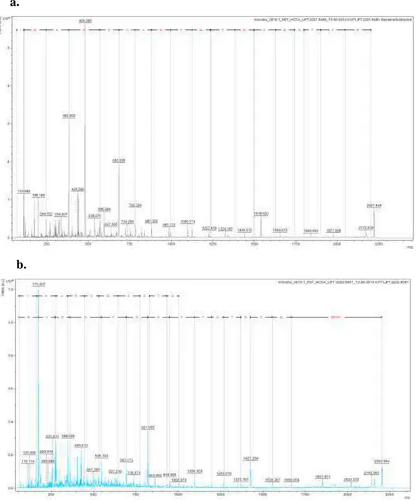 Figura  12.  MS2  e  sequenciamento  de  novo  do  íon  de  m/z  2221,94  da  amostra  AN1818.2(a) e do íon de m/z 2202 da amostra AN3613.2(b)