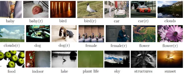 Figure 3.1: Example images from MIRFLICKR dataset [Huiskes and Lew, 2008] with their associated concepts labels