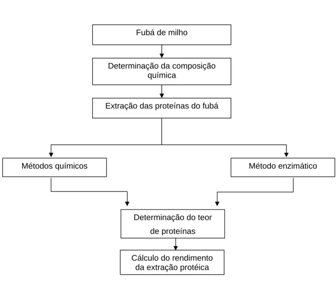 Figura 5 - Principais etapas do trabalho experimental desenvolvido no capítulo 1. 