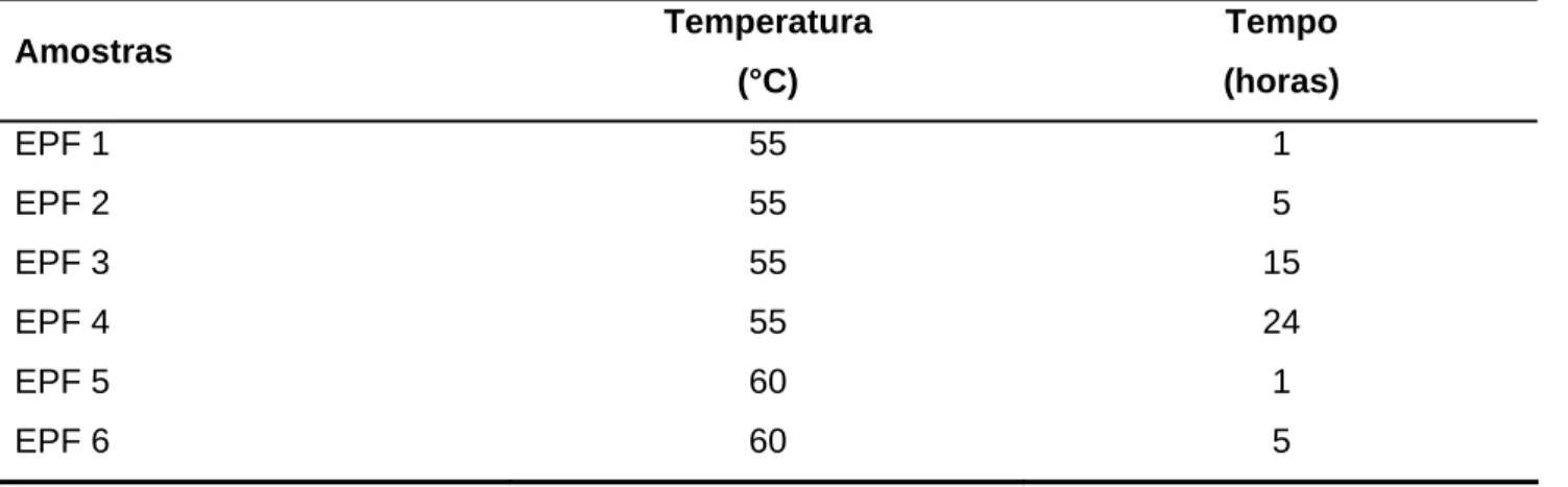 Tabela I.1 – Parâmetros utilizados na extração enzimática das proteínas do fubá de  milho   Amostras  Temperatura  (°C)  Tempo (horas)  EPF 1  55  1  EPF 2  55  5  EPF 3  55  15  EPF 4  55  24  EPF 5  60  1  EPF 6  60  5 
