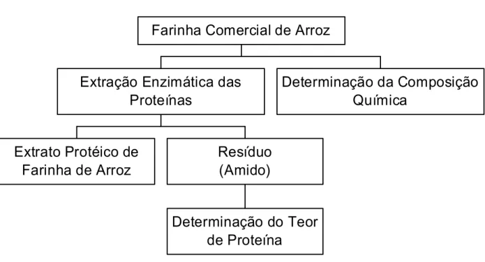 Figura 3 – Principais etapas do trabalho experimental do capítulo 1. 