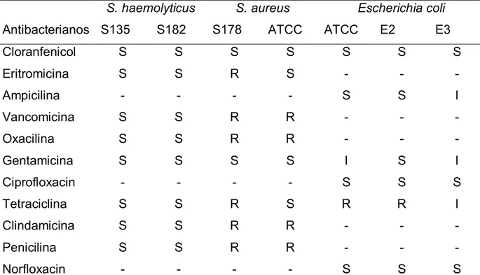 Tabela  2  –  Perfil  de  sensibilidade  a  antimicrobianos  para  amostras  de  Staphylococcus aureus, Staphylococcus haemolyticus e Escherichia coli isoladas de  bovinos e cepas padrão 