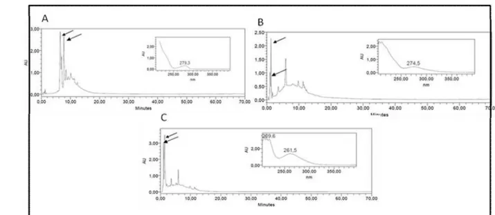 Figura  02:  Perfis  cromatográficos,  obtidos  por  HPLC,  valor  do  tempo  de  retenção  (TR),  e  características  do  espectro  de  UV  de  taninos,  nos  extratos  A:  Schinopsis  brasiliensis etanólico (TR=1.053), B: Schinopsis brasiliensis aquoso (