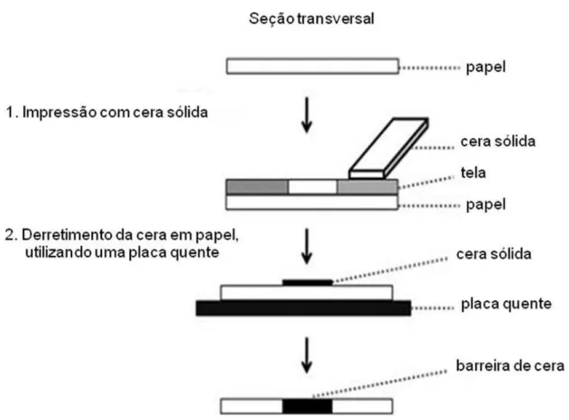 Figura 1.7. Diagrama esquemático do método de fabricação de  μPADs por serigrafia  ou silk-screen (Adaptado de DUNGCHAI, CHAILAPAKUL, HENRY, 2011)