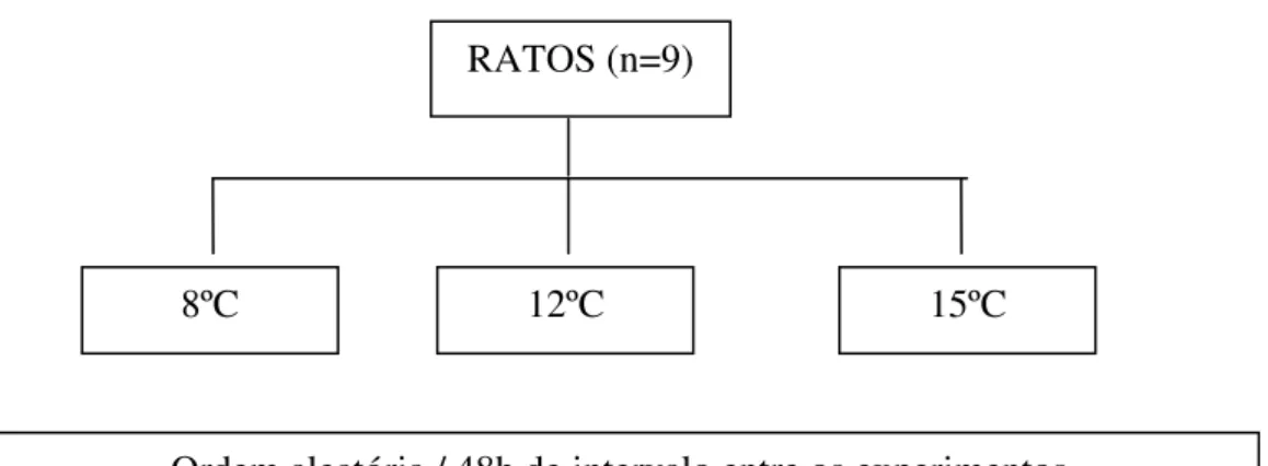Figura 2: Representação esquemática do delineamento experimental 1. 