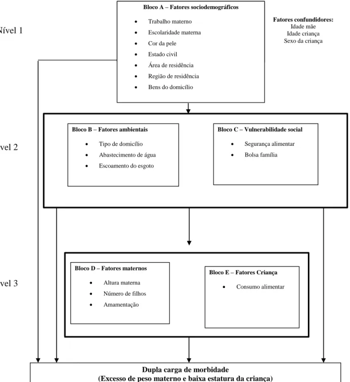 Figura  2  -  Marco  teórico  conceitual  dos  possíveis  fatores  associados  a  resultados      nutricionais na díade mãe-filho