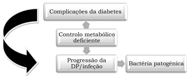 Figura 5:  controlo da diabetes mellitus e progressão da DP 