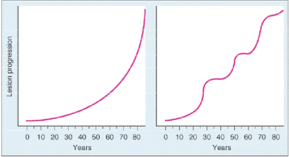 Figura 1. Evolução temporal da aterosclerose. À esquerda o conceito tradicional de que a formação 