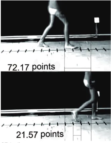 Figure 1. Measuring the distances in the walkway with the Corel Draw ®  (Corel  Corporation, Canada) software