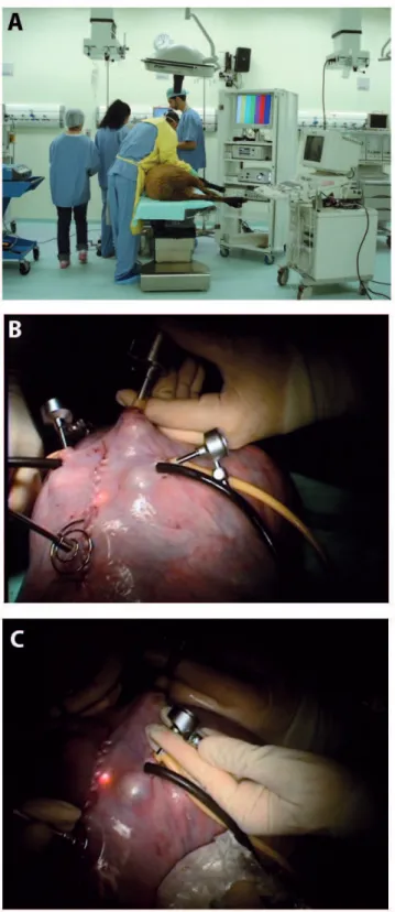 Figure 1. (A) Animal preparation for endoscopic fetal surgery. Note the  ultrasound equipment located beside the videolaparoscope