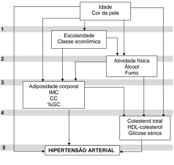 Figura 2- Modelo hierarquizado de análise para os fatores associados à  hipertensão arterial   Idade  Cor da pele  Escolaridade Classe econômica  Atividade física Álcool Fumo Adiposidade corporal IMC CC %GC  Colesterol total HDL-colesterol Glicose sérica H