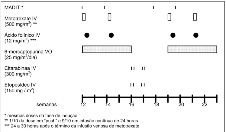 Figura 10: Protocolo BFM-83 modificado para LNH do tipo histológico linfoblástico: Fase de  consolidação (RIEHM et al., 1990) 